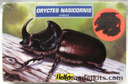 Heller Oryctes Nasicornis Rhinoceros Beetle, 79402 plastic model kit